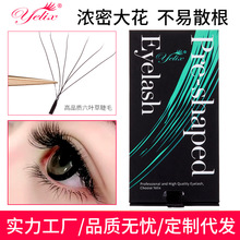 ���� ��ë6D�_���W���ٽ�ë��Ȼ���NC���b���ŝ������~�ݼ޽ӽ�ë