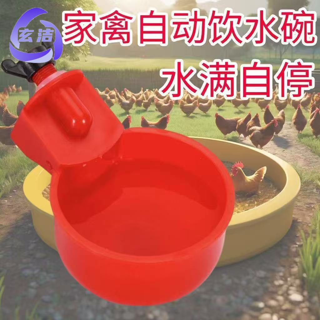 大号家禽喂鸡食槽喝水养殖喂鸡自动饮水器鸡鸭全自动养鸡喝水器