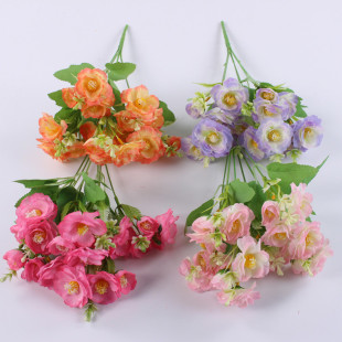 ���溣�Ļ��� �羳С�ѻ� �Wʽ�Ҿ��bٻ� ��Y�ò������[��ˇ