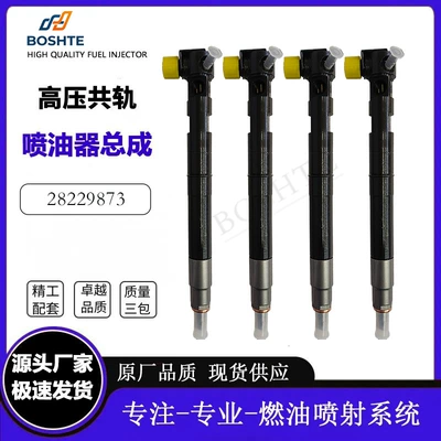 28229873 Injector Assembly 33800-4A710 is suitable for Hyundai Kia H1, brand new quality, in stock at the factory (Oil pump, nozzle)