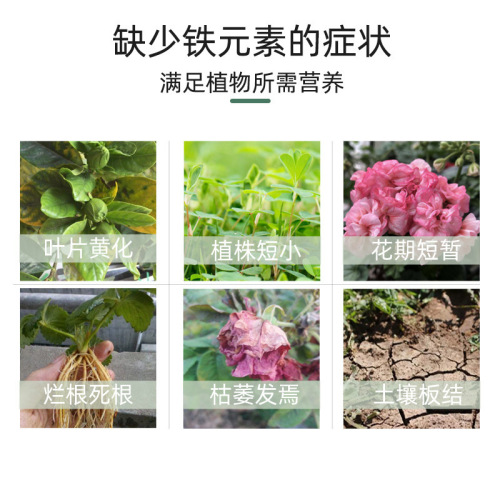 Ferrous sulfate adjusts soil pH to prevent yellow leaves, suitable for acid-loving flowers, vegetables, and plants, general water-soluble fertilizer, wholesale
