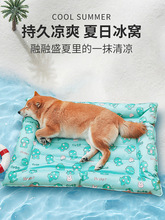 ������C�ļ����C������C������С��Ȯ���|؈�併��؈�C˯�X�|��