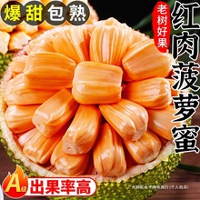 �t�Ⲥ�}�����rˮ�����]̩�˲��_�t�Ĳ��}��һ��������ˮ������