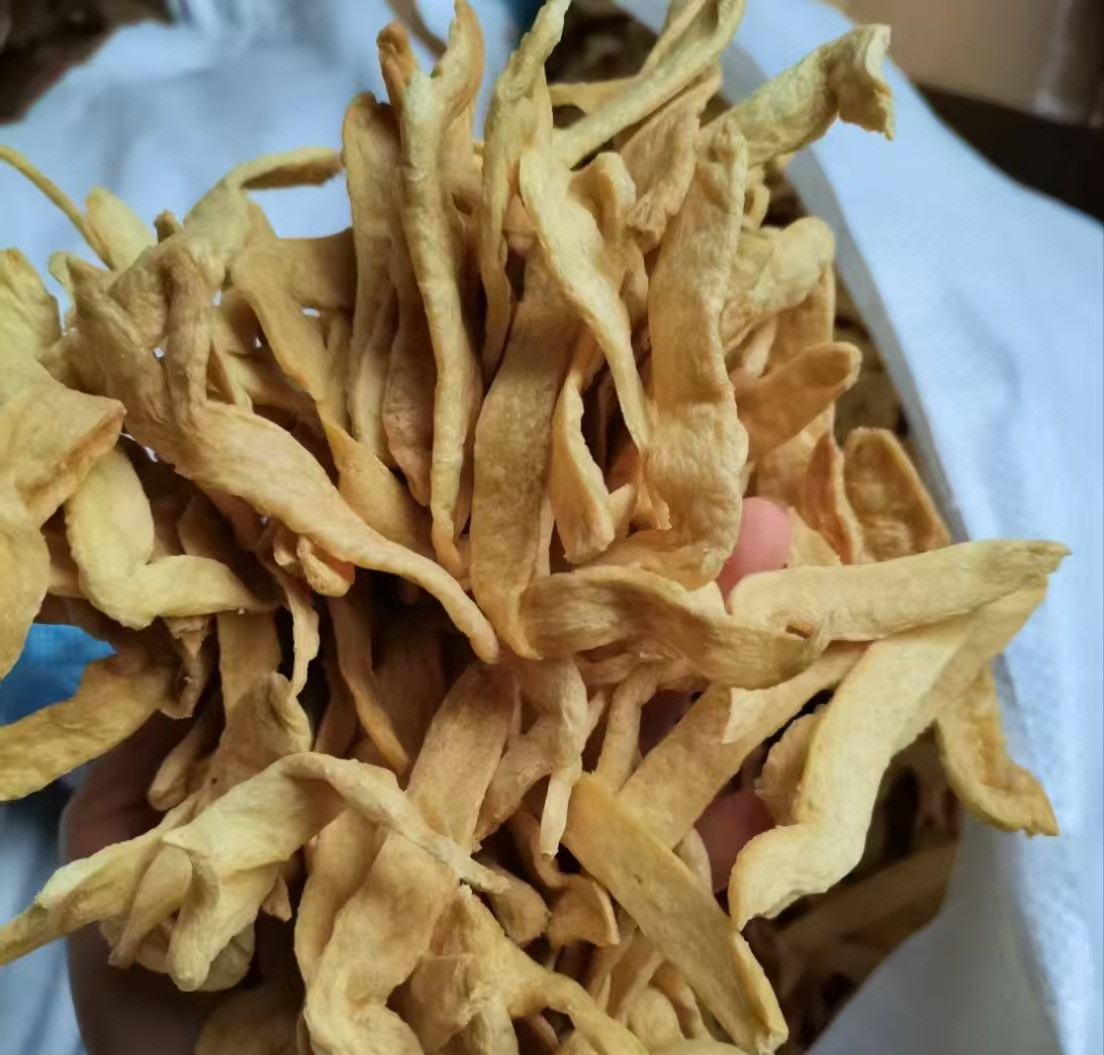 7fa5e61905bdc7d4c53b5c569d2ab6