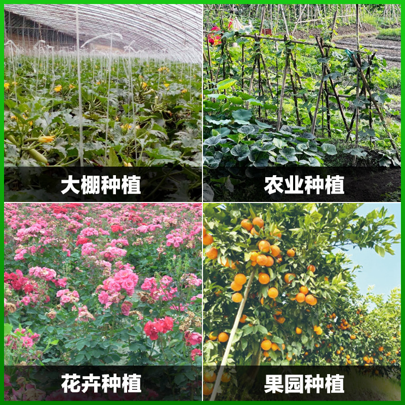 大棚吊秧把线 塑料尼龙吊绳拉枝用吊蔓绳 蔬菜黄瓜爬藤绳子牵引绳|undefined