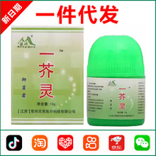 ����һ�����־�˪10g 1455