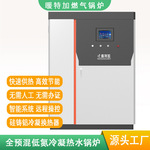 全预混冷凝热水锅炉温室供暖地暖商用采暖供水供热工业热水锅炉