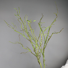 ����ݘ��ٿ�֦�����b��ٵ�픘�֦ɽ�����ٗl�����֦�Gֲ�ٻ�