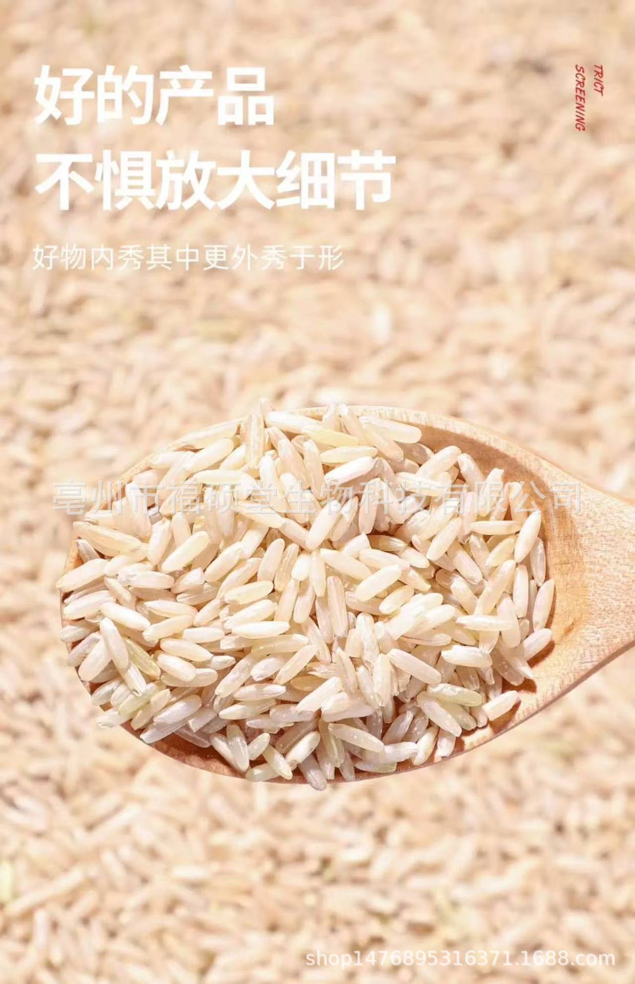 Japonica Rice (Oryza sativa) — Dried Food Grain for Congee & Daily Nourishment quality and texture