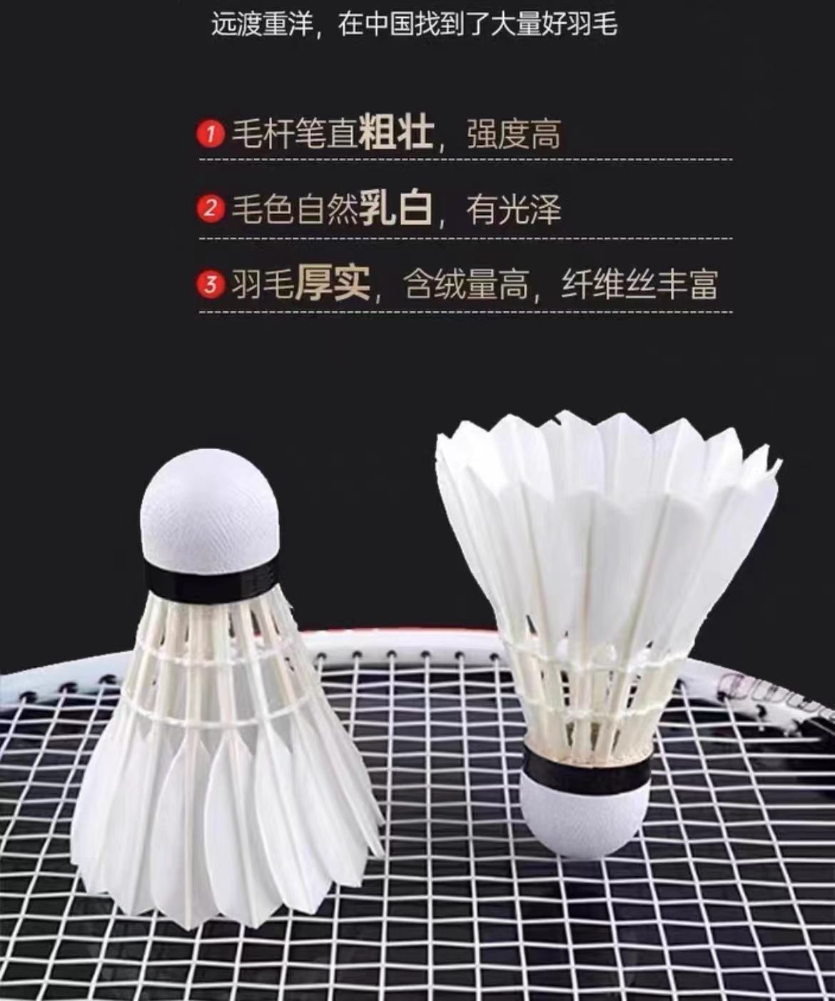 图片_20240714174933