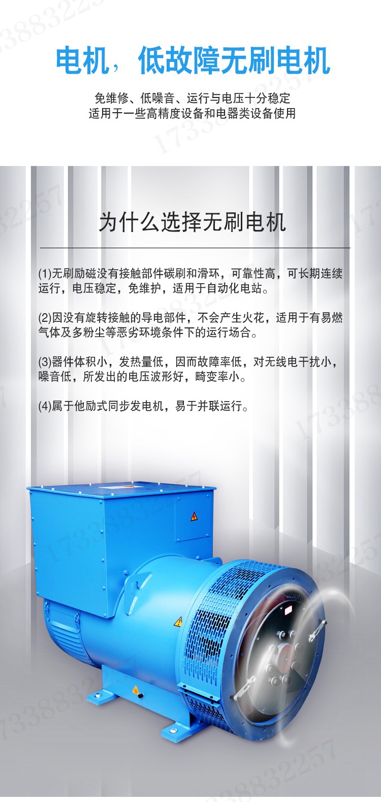 潍柴股份汽油发电机组07