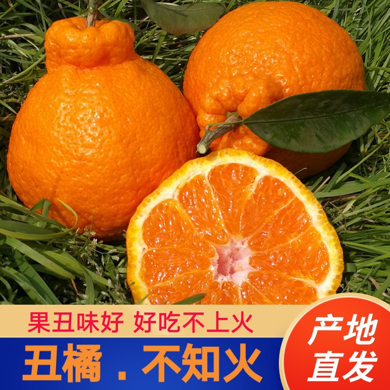 四川不知火丑橘新鲜柑橘 酸甜多汁 产地直发|ru
