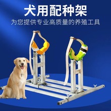 Ȯ������N֧���乷���m�ø��N������Ȯ��Ȯ�����������ܾd��S��