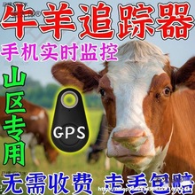 定位器追踪跟追动物牛羊神器gps户外防防水仪器器订位定位麦太保