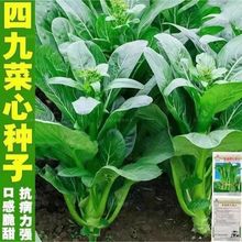 ľķNӷNяV|̨̦͟ﶬļ߲˷N