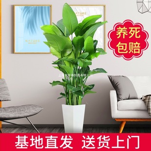 �����B���Կ͏d�҃Ⱥ��B���ͻ��ܾGֲ�k�����p�ݾGɫֲ���Q���m�t