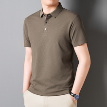 高端品牌冰丝短袖t恤男士2025年夏季新款高级感桑蚕丝体恤polo衫
