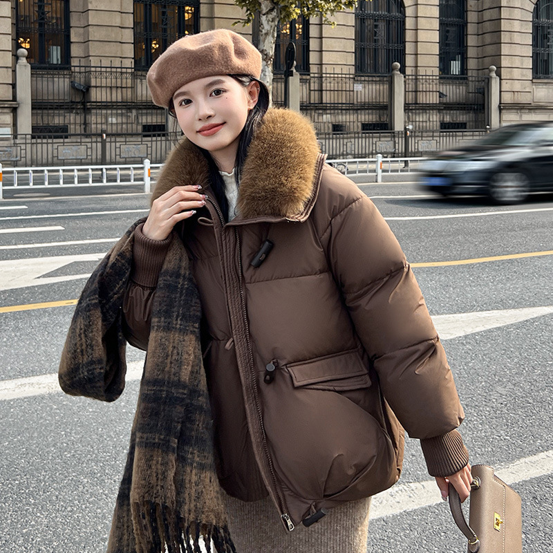 갈색
