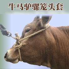 �Rţ�Ȧ ����ţ�\�^ �\�^��˩ţ�K�ֹ�����ţ�R�\�K��ţ�K���R�K