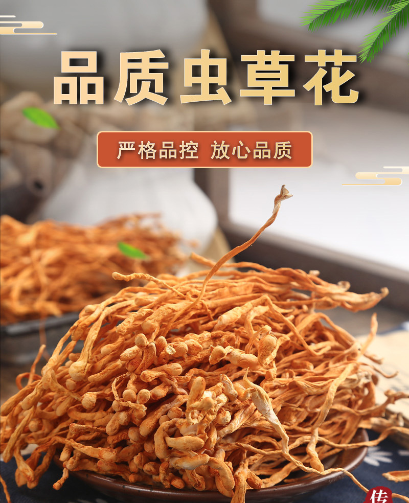 Cordyceps Flower (Cordyceps militaris) — Dried Edible Mushroom for Soup & Broth, 500g key features