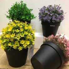 Դ�^�S�����l�����ֲ���辰�Gֲ���Ի�������������҃��b�