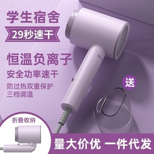 Popular Hair Dryer for Home Use, Silent, Suitable for Student Dormitories, Blue Light Hair Dryer, Salon Quick-Dry, Strong Wind Hair Dryer for Hair Replacement