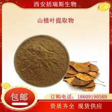 ɽ��~��ȡ�� ɽ��Sͪ40% ɽ髷�   1KGϵ�ͷ�  �gӭ��ԃ