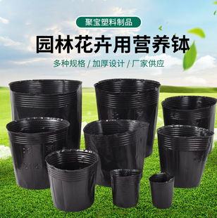 Extra Tall and Thick Nutrient Cups, Slender Seedling Cups, Special Cups for Saplings, Disposable Black Cups for Gardening Use