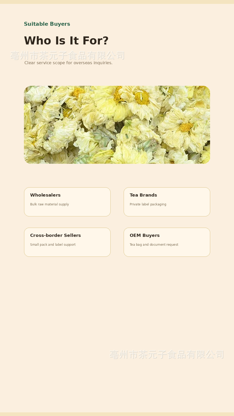 Tai Ju Chrysanthemum Buds Dried Herbal Tea 50g Bulk Wholesale Floral Infusion specifications