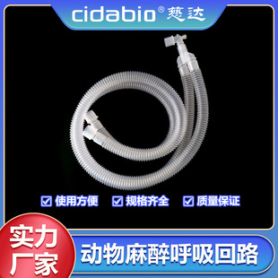 ��������������·��������������·��������C�_�Ż�·������·��