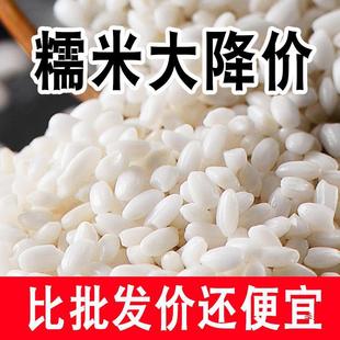 10��5��Ŵ��������Ŵ�׺������|��ճ������Ŵ�װ׽������װ���