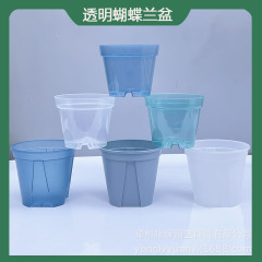 New Transparent Phalaenopsis Pot, Qingshan Root Control Pot, Perforated Plastic Flower Pot Base, Philodendron Bamboo Alocasia Pot