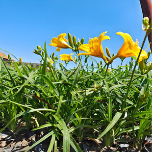 ��������� �t��ʯ��� �޸����ܴ���ݮa�ع����@�־G���ͺ�