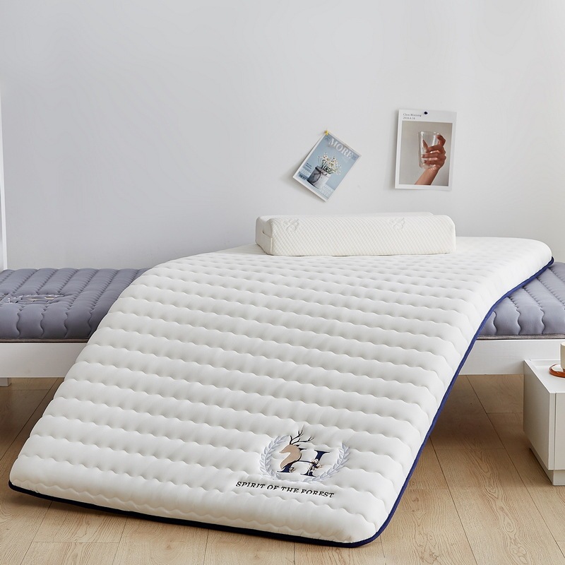 Class A Antibacterial Soybean Cushion Single Mattress Dormitory Mattress No Collapse Tatami Household Mattress Mattress Padded