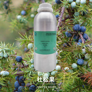 杜松果精油圖片 海量高清杜松果精油圖片大全 阿里巴巴 杜松果精油圖片 海量高清杜松果精油圖片大全 阿里巴巴