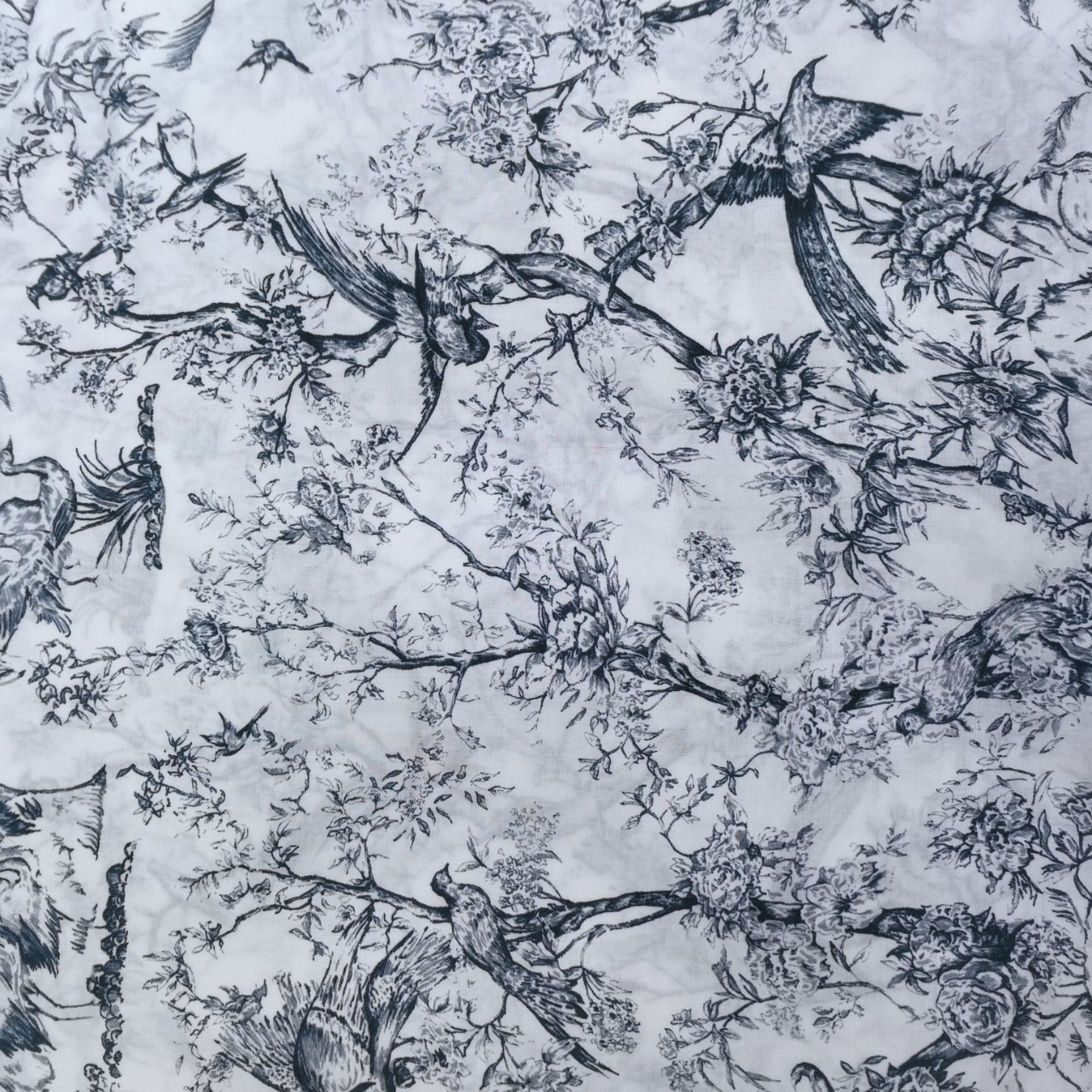 O1CN01KQ32691FNb99KwC0w_!!2140