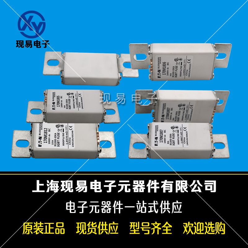 170M1753 170M1754 170M1755 170M1756美国伊顿巴斯曼保险丝原装