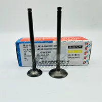 Поставка запчастей для мотоциклов GW250F/DL250/GSX250R выпускной клапан Впускной клапан Zhengzhou клапан