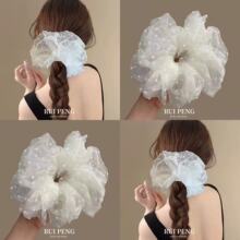 ��ʽ����ٴ��̖���ɾW�����c�lȦ����㼑��L�P�l�^��2025�¿�