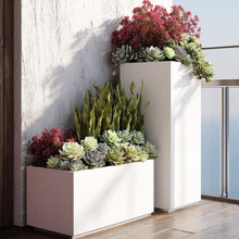 �����Fˇ���P䓻����̨�Nֲ���̘I�ֳ�Ʒ�����M���L���λ���