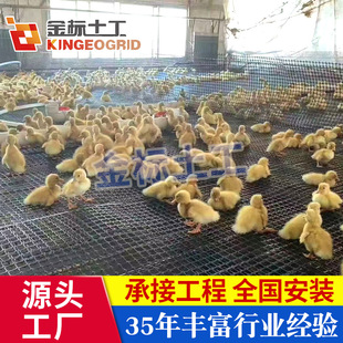 Factory Direct Sales Plastic Breeding Net Nylon Net Poultry Plastic Net Guardrail Net Vegetable Garden Protection Net