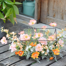 ����¶�I���滨����������ֲ�q���ڻ���c�bW�tֱ������[�Ʒ