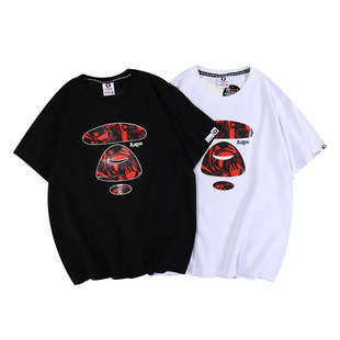 ����ape����t�����¿��ļ����ތ�����H���e�A�I����Գ���^�ٴ�