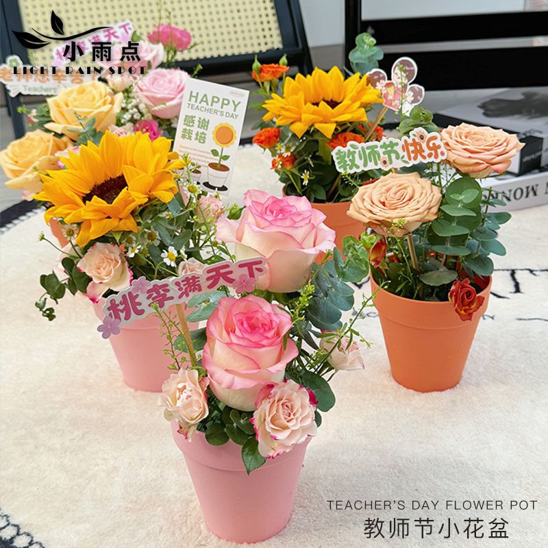 教师节小花盆花束小盆送老师祝福花束diy材料花艺包装材料花盒|undefined