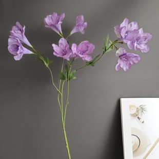 ���滨�U����đ������ɏ���Rˮ�� �Ҿӻ�c���յ��߼ٻ��b����l