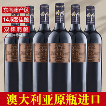 ϸɺѾ 750ml*6ƿװƷ Ĵǽں