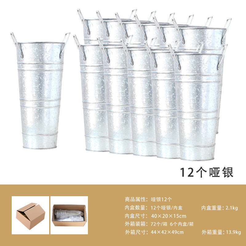 더미 실버 12 + 내부 상자 포장