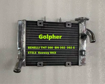 Suitable for BENELLI TNT 300 BN 302 302 S STELS motorcycle water tank (Water tank)
