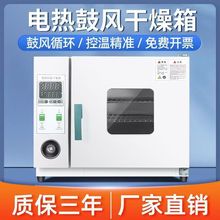 工业烘箱恒温干燥箱高温烤箱实验室小型口腔烤大灯烤漆跨境工厂