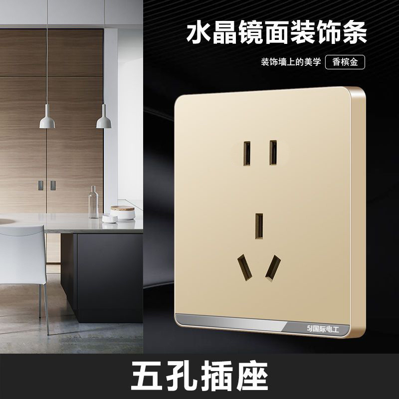 대형 플레이트 샴페인 골드 [거울 장식 스트립] - 5홀 소켓